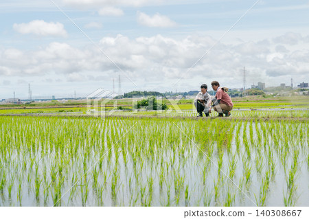 Men discussing while looking at rice paddies Men discussing while looking at rice paddies 140308667