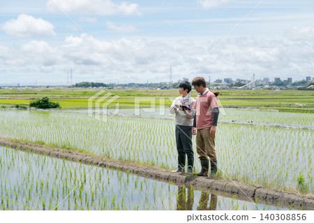 Men discussing while looking at rice paddies Men discussing while looking at rice paddies 140308856