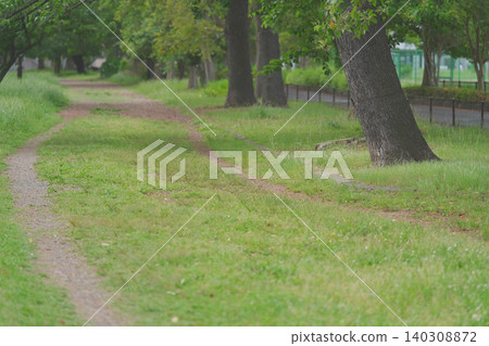 A walking path surrounded by greenery A walking path surrounded by greenery 140308872