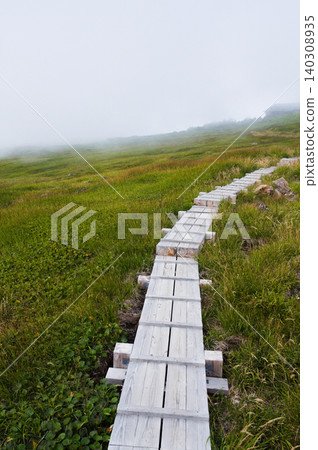 A boardwalk in a high-altitude wetland shrouded in mist 140308935