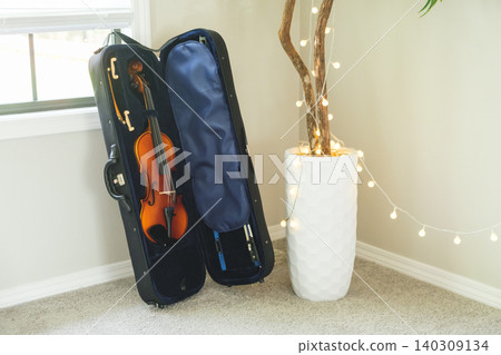A violin in its case stands next to a flower. A violin in its case stands next to a flower. 140309134