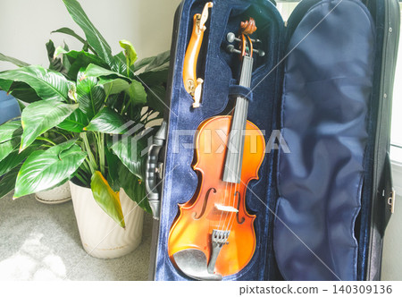 A violin in its case stands next to a flower. A violin in its case stands next to a flower. 140309136