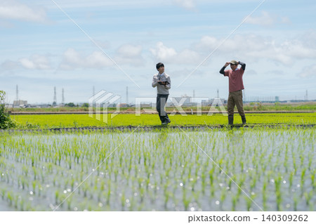 Farmers walking along the field paths Farmers walking along the field paths 140309262
