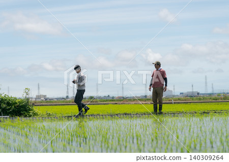 農民們沿著田間小路行走。 農民們沿著田間小路行走。 140309264