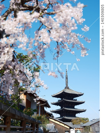 Cherry blossoms Cherry blossoms 140309805