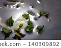 臭菘和倒影 140309892