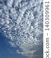 A vast expanse of cirrocumulus clouds spread across the blue sky. 140309961