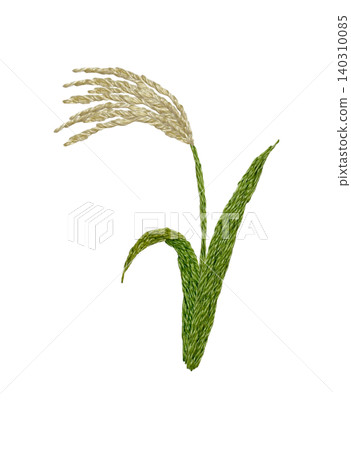 [Pampas Grass] Hand-embroidered illustration material 140310085