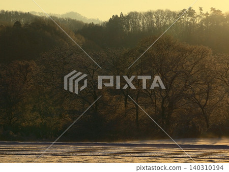 北上川的冬日景色 北上川的冬日景色 140310194