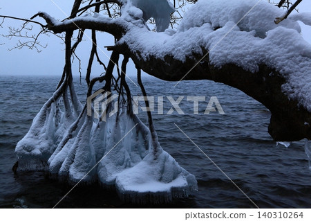 Oirase stream of winter 140310264