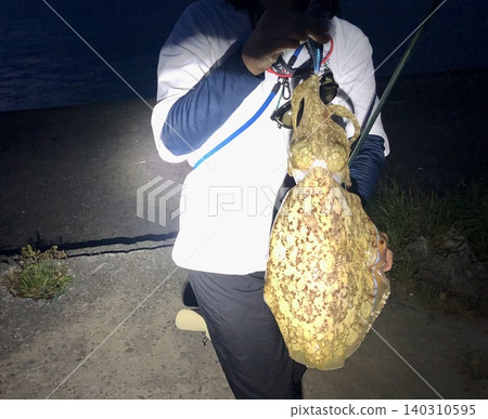 I caught a squid. I caught a squid. 140310595