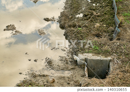The calm surface of the water reflects the blue sky and white clouds in the rice paddies before plowing, and there are drainage outlets built along the ridges. The calm surface of the water reflects the blue sky and white clouds in the rice paddies before plowing, and there are drainage outlets built along the ridges. 140310655