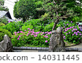 大塚青海寺歷史公園繡球花節 140311445