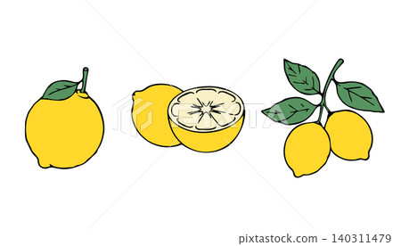 Lemon Fruit Set with Whole Lemon Lemon Half and Lemon Branch Illustration 140311479