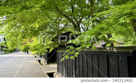 武士住宅的城鎮景觀,黑色的木柵欄在鬱鬱蔥蔥的樹木映襯下格外醒目(秋田縣仙北市角館町) 武士住宅的城鎮景觀,黑色的木柵欄在鬱鬱蔥蔥的樹木映襯下格外醒目(秋田縣仙北市角館町) 140311481