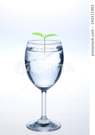 A representation of environmental protection through young leaves and water. A representation of environmental protection through young leaves and water. 140311965