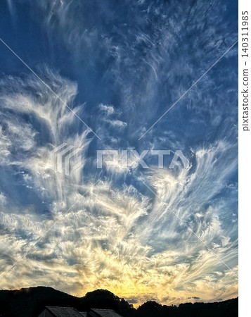 A dazzling expanse of cirrus clouds in the twilight sky. A dazzling expanse of cirrus clouds in the twilight sky. 140311985