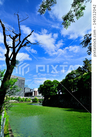 Tokyo: The beautiful Shimizu Moat and the surrounding townscape amidst the fresh greenery. Tokyo: The beautiful Shimizu Moat and the surrounding townscape amidst the fresh greenery. 140312042