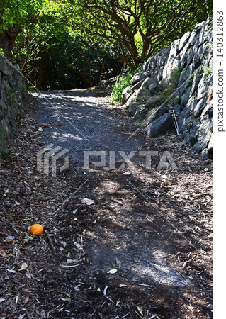 沿著石牆的小路,陽光透過樹木灑下來。 沿著石牆的小路,陽光透過樹木灑下來。 140312863
