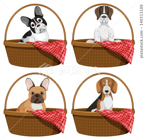 Four Dog Breeds Sitting in Wicker Baskets Four Dog Breeds Sitting in Wicker Baskets 140313189