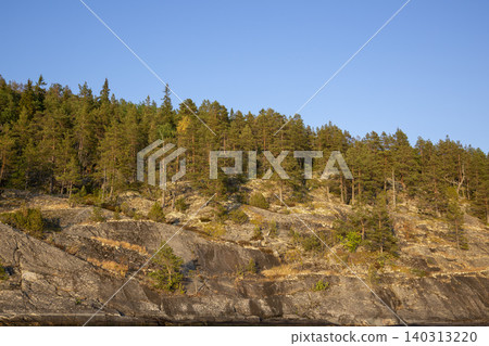 View of the shore of an island on Lake 140313220
