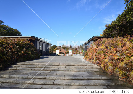 Ibaraki Prefectural Botanical Garden Reopens #2 Ibaraki Prefectural Botanical Garden Reopens #2 140313502