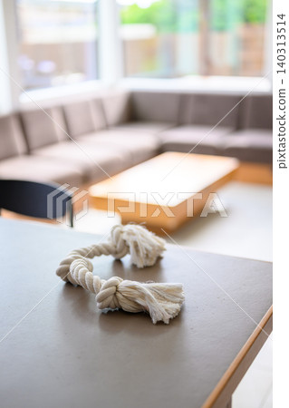 客廳桌上的繩索玩具 140313514