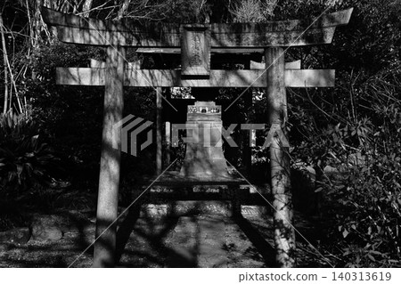 The torii gate of the shrine within the temple grounds, bathed in dappled sunlight. 140313619