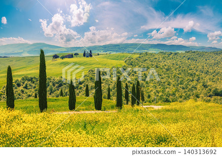 Beautiful landscape, spring nature, cypresses on sunny flower fields on rolling hills in Tuscany, Italy Beautiful landscape, spring nature, cypresses on sunny flower fields on rolling hills in Tuscany, Italy 140313692