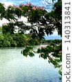 Fresh greenery in Itoshima, young leaves by the pond 140313841