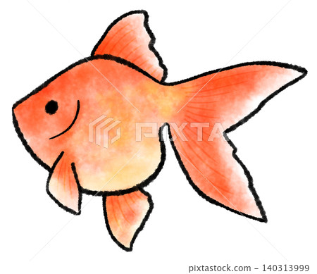 A simple watercolor-style illustration of a red goldfish. A simple watercolor-style illustration of a red goldfish. 140313999