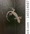 Gecko 140314087