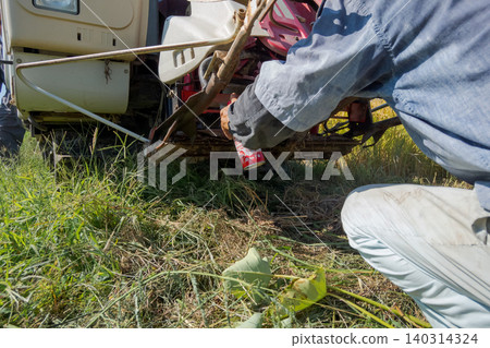 combine, combine harvester, rice harvesting 140314324