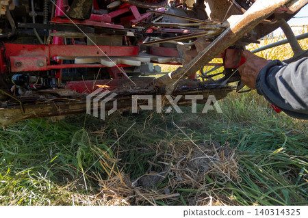 combine, combine harvester, rice harvesting 140314325