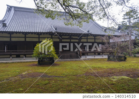 Kyoto Higashiyama [Shoren-in Monzeki]: A picturesque garden wet with rain: Higashiyama Ward, Kyoto City, Kyoto Prefecture 140314510
