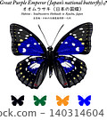 A beautiful illustration of the Japanese national butterfly, the Great Purple Emperor (Sasakia charonda), with an icon placed on a white background. 140314604