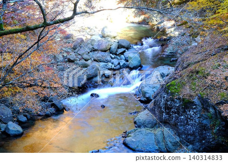 【神奈川縣】秋色染紅的早戶川谷 【神奈川縣】秋色染紅的早戶川谷 140314833