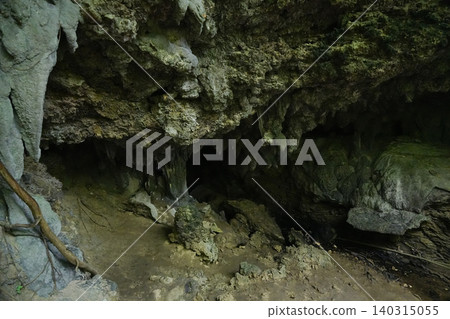 Okinawa Prefecture, Iriomote Island, Kura Cave Okinawa Prefecture, Iriomote Island, Kura Cave 140315055