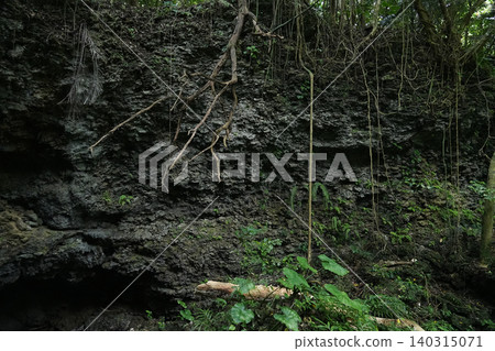 Okinawa Prefecture, Iriomote Island, Kura Cave Okinawa Prefecture, Iriomote Island, Kura Cave 140315071