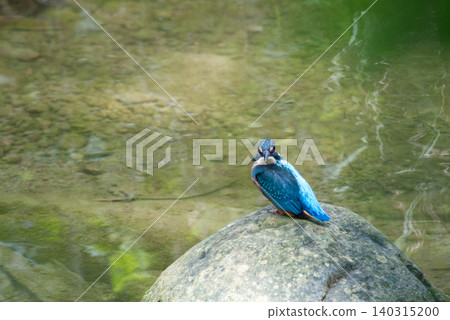 kingfisher 140315200