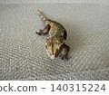 A gecko crawls slowly on a clear flat surface inside a room. Th 140315224