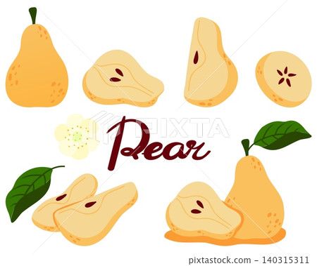 Vector set of pear with slices and leaves Vector set of pear with slices and leaves 140315311