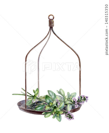 Vintage scale pan with fresh thyme branches watercolor illustration. Isolated botanical layout for organic spices label, aromatherapy oil identity, culinary menu and retro pharmacy design Vintage scale pan with fresh thyme branches watercolor illustration. Isolated botanical layout for organic spices label, aromatherapy oil identity, culinary menu and retro pharmacy design 140315350