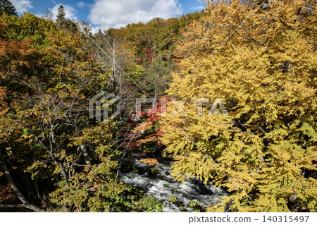 Autumn leaves of Akan Takimi Bridge 140315497