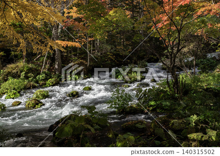 Autumn leaves of Akan Takimi Bridge 140315502