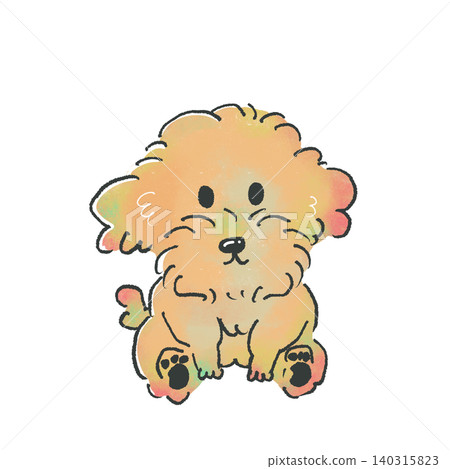 貴賓犬 貴賓犬 140315823