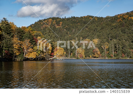 Autumn of Onneto Autumn of Onneto 140315839