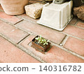 Weeds growing in mini planters 140316782