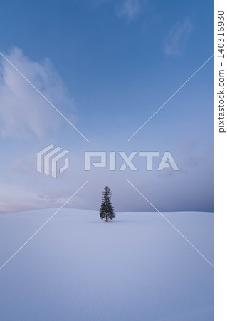 A Christmas tree on a sunny winter day A Christmas tree on a sunny winter day 140316930