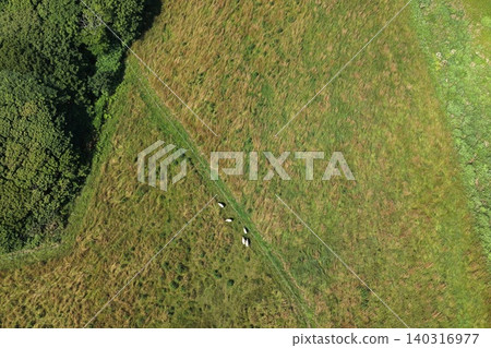 Aerial photograph of a pasture where Suffolk sheep graze in a green meadow. Aerial photograph of a pasture where Suffolk sheep graze in a green meadow. 140316977